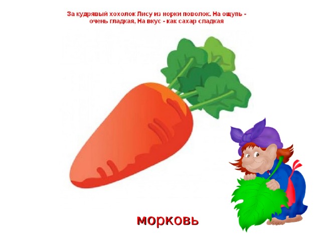 морковь 