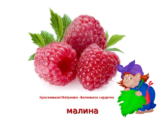 малина 