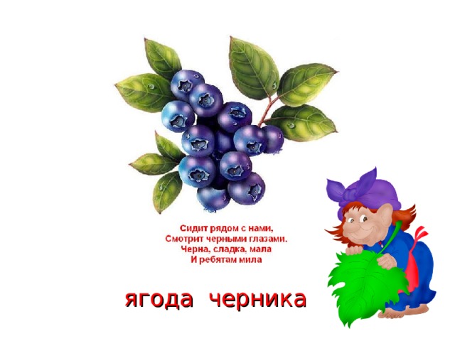 ягода черника 
