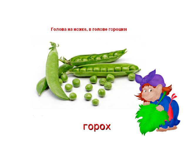 горох 