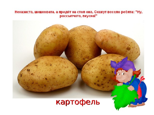картофель  