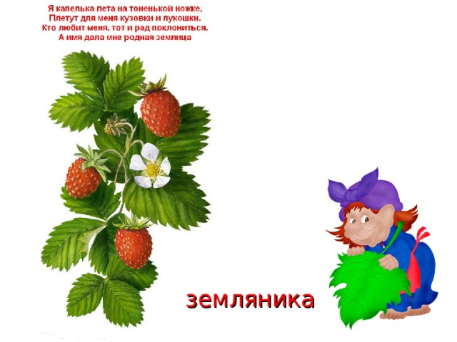 земляника 