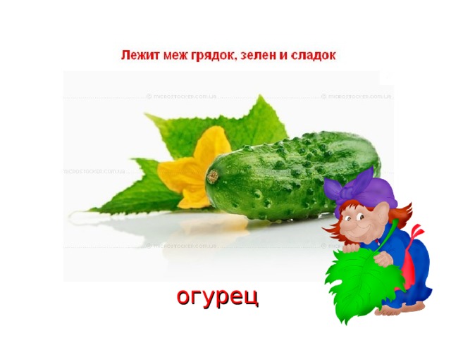 огурец 