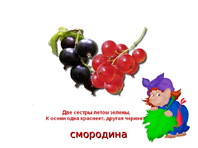 смородина 
