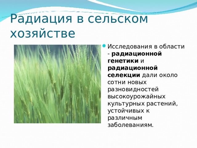 Радиация в сельском хозяйстве Исследования в области - радиационной генетики и радиационной селекции дали около сотни новых разновидностей высокоурожайных культурных растений, устойчивых к различным заболеваниям. 