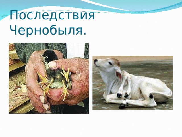 Последствия Чернобыля. 