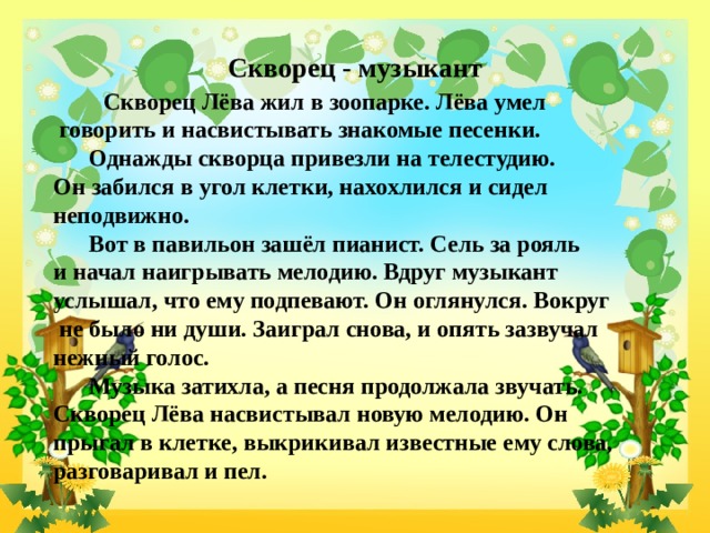 Скворец - музыкант  Скворец Лёва жил в зоопарке. Лёва умел  говорить и насвистывать знакомые песенки.   Однажды скворца привезли на телестудию.  Он забился в угол клетки, нахохлился и сидел неподвижно.   Вот в павильон зашёл пианист. Сель за рояль  и начал наигрывать мелодию. Вдруг музыкант  услышал, что ему подпевают. Он оглянулся. Вокруг  не было ни души. Заиграл снова, и опять зазвучал нежный голос.   Музыка затихла, а песня продолжала звучать. Скворец Лёва насвистывал новую мелодию. Он  прыгал в клетке, выкрикивал известные ему слова, разговаривал и пел.   