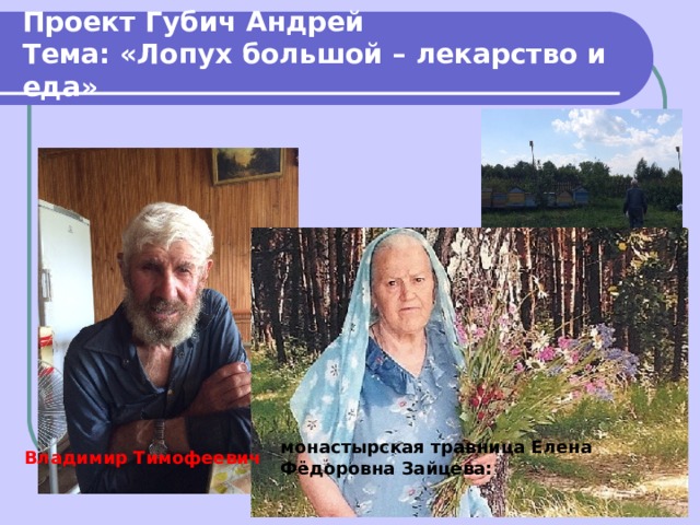 Проект Губич Андрей  Тема: «Лопух большой – лекарство и еда»   монастырская травница Елена Фёдоровна Зайцева: Владимир Тимофеевич 