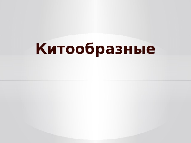 Китообразные 