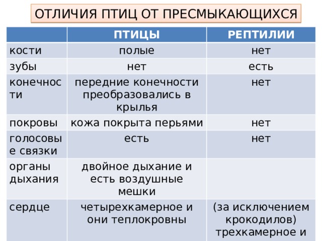 ОТЛИЧИЯ ПТИЦ ОТ ПРЕСМЫКАЮЩИХСЯ ПТИЦЫ кости РЕПТИЛИИ зубы полые нет нет конечности покровы передние конечности преобразовались в крылья есть нет голосовые связки кожа покрыта перьями нет есть органы дыхания нет двойное дыхание и есть воздушные мешки сердце четырехкамерное и они теплокровны (за исключением крокодилов) трехкамерное и они холоднокровны  