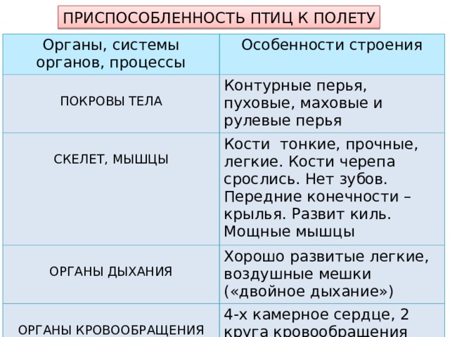 ПРИСПОСОБЛЕННОСТЬ ПТИЦ К ПОЛЕТУ Органы, системы органов, процессы Особенности строения ПОКРОВЫ ТЕЛА Контурные перья, пуховые, маховые и рулевые перья СКЕЛЕТ, МЫШЦЫ Кости тонкие, прочные, легкие. Кости черепа срослись. Нет зубов. Передние конечности – крылья. Развит киль. Мощные мышцы ОРГАНЫ ДЫХАНИЯ Хорошо развитые легкие, воздушные мешки («двойное дыхание») ОРГАНЫ КРОВООБРАЩЕНИЯ 4-х камерное сердце, 2 круга кровообращения 