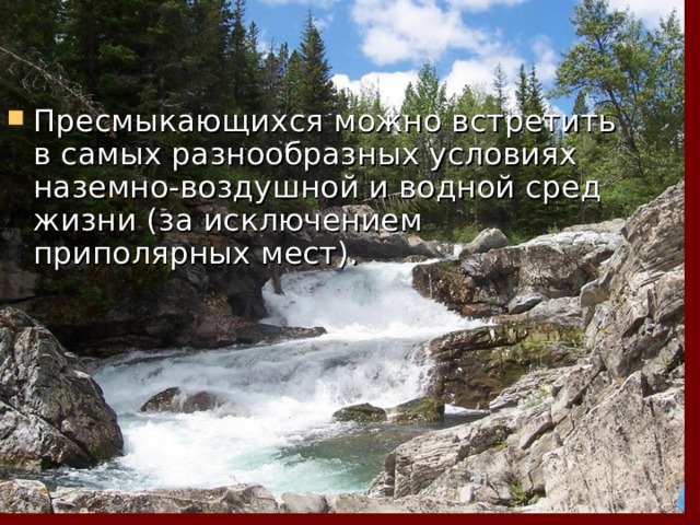 Пресмыкающихся можно встретить в самых разнообразных условиях наземно-воздушной и водной сред жизни (за исключением приполярных мест). 