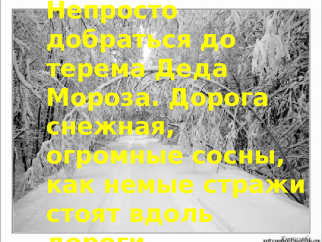 Непросто добраться до терема Деда Мороза. Дорога снежная, огромные сосны, как немые стражи стоят вдоль дороги. 
