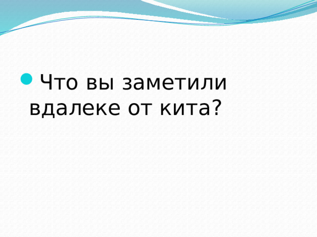 Что вы заметили вдалеке от кита? 