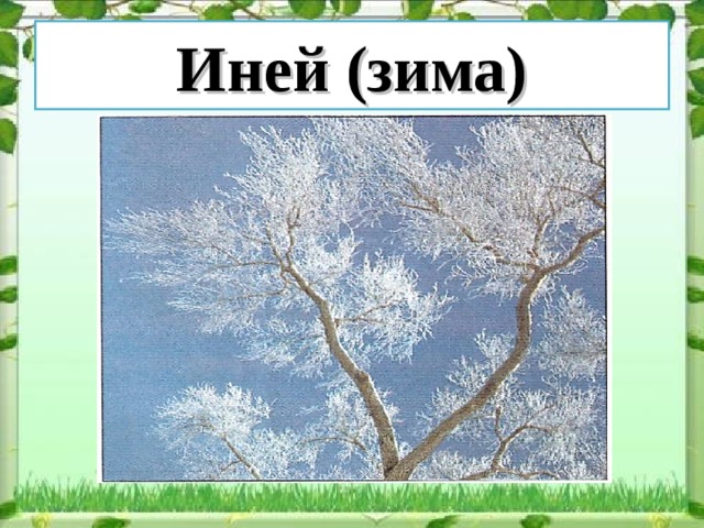 Иней (зима) 