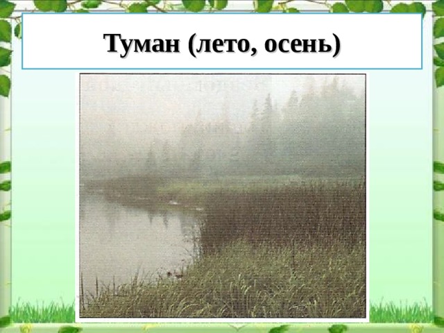 Туман (лето, осень) 