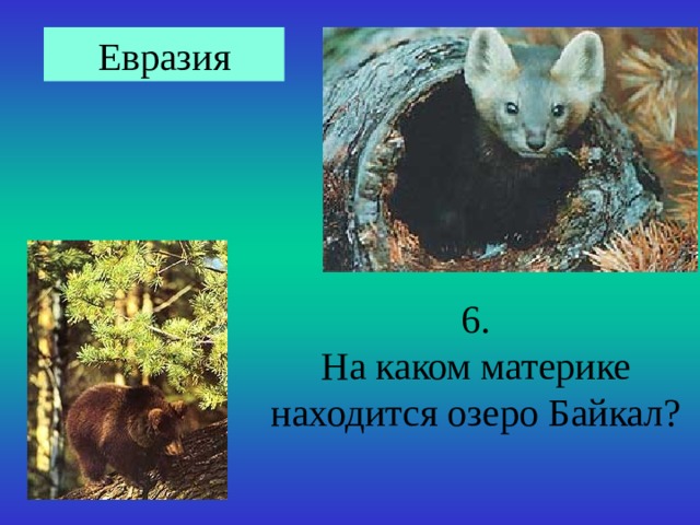 Евразия 6. На каком материке находится озеро Байкал? 