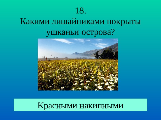 18. Какими лишайниками покрыты ушканьи острова? Красными накипными 
