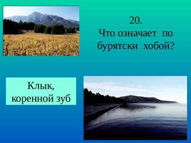 20. Что означает по бурятски хобой? Клык, коренной зуб 