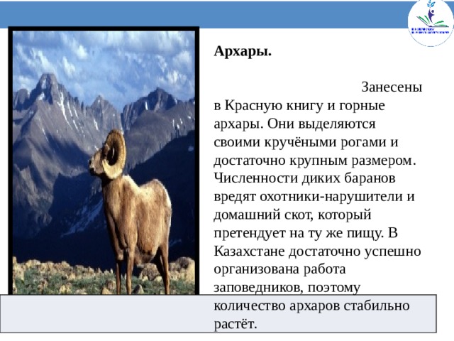 Архары. Занесены в Красную книгу и горные архары. Они выделяются своими кручёными рогами и достаточно крупным размером. Численности диких баранов вредят охотники-нарушители и домашний скот, который претендует на ту же пищу. В Казахстане достаточно успешно организована работа заповедников, поэтому количество архаров стабильно растёт.     