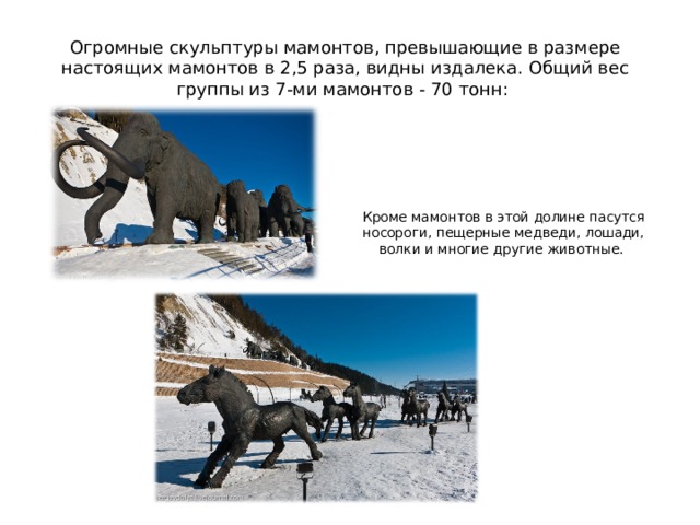 Огромные скульптуры мамонтов, превышающие в размере настоящих мамонтов в 2,5 раза, видны издалека. Общий вес группы из 7-ми мамонтов - 70 тонн:    Кроме мамонтов в этой долине пасутся носороги, пещерные медведи, лошади, волки и многие другие животные.    