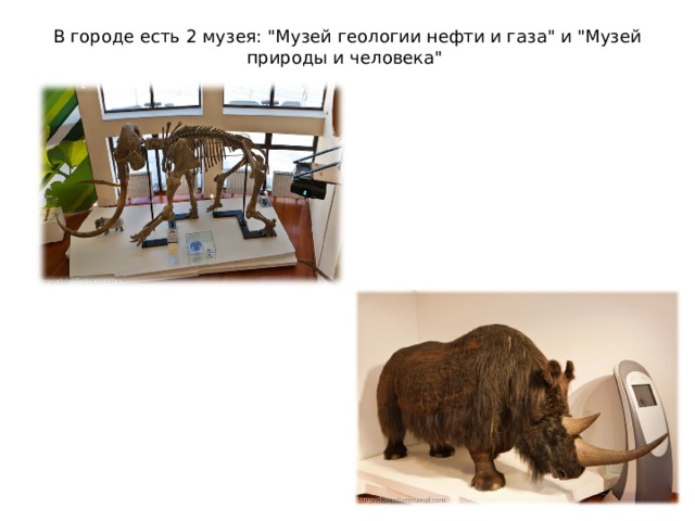В городе есть 2 музея: 