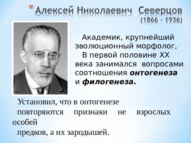  Академик, крупнейший эволюционный морфолог,  В первой половине XX века занимался вопросами соотношения онтогенеза и филогенеза. Установил, что в онтогенезе повторяются признаки не взрослых особей предков, а их зародышей. 