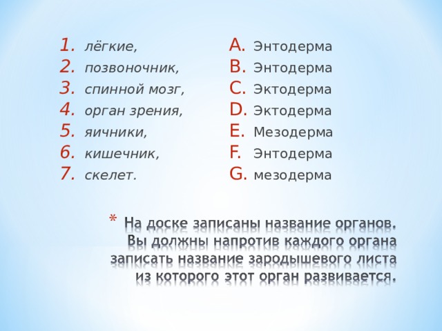 лёгкие, позвоночник, спинной мозг, орган зрения, яичники,   кишечник, скелет. Энтодерма Энтодерма Эктодерма Эктодерма Мезодерма Энтодерма мезодерма   