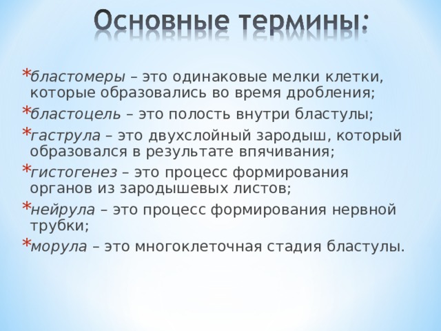 бластомеры  – это одинаковые мелки клетки, которые образовались во время дробления; бластоцель  – это полость внутри бластулы; гаструла  – это двухслойный зародыш, который образовался в результате впячивания; гистогенез  – это процесс формирования органов из зародышевых листов; нейрула  – это процесс формирования нервной трубки; морула  – это многоклеточная стадия бластулы.  