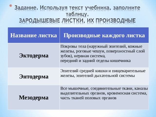 Название листка Производные каждого листка Эктодерма Покровы тела (наружный эпителий, кожные железы, роговые чешуи, поверхностный слой зубов), нервная система,  передний и задний отделы кишечника Энтодерма Эпителий средней кишки и пищеварительные железы, эпителий дыхательной системы Мезодерма Все мышечные, соединительные ткани, каналы выделительных органов, кровеносная система, часть тканей половых органов 