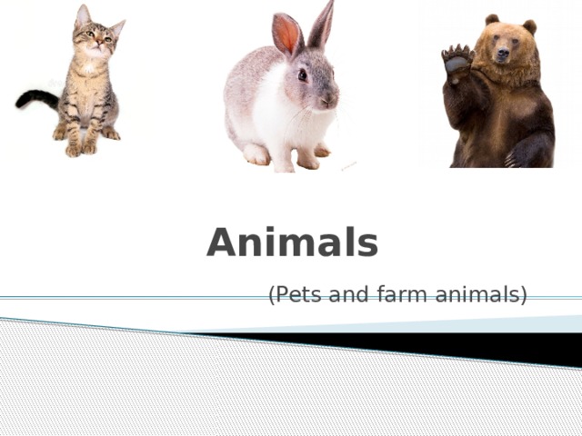 Animals (Pets and farm animals) 