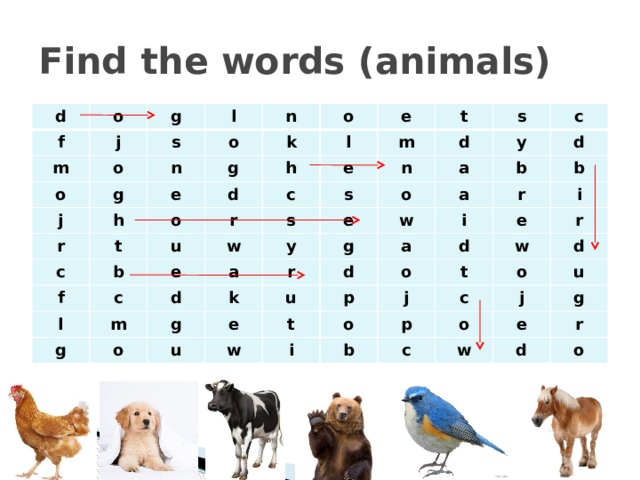Find the words (animals) d f o j m g o l s o g o j n n k o g h r e d l t e h o c f c m t b e u r w s c d n s s l e o y y a m g a e d c k a d o g g r w b e u u a i b d r i d w p o t e j i o t r w c d b p o c u j o w g e r d o 