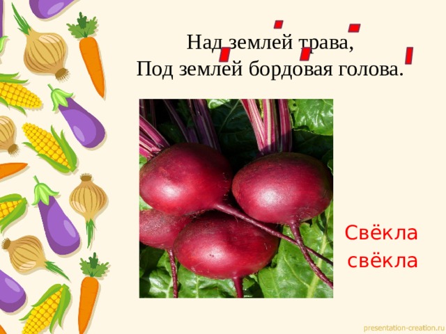 Над землей трава,  Под землей бордовая голова. Свёкла свёкла 
