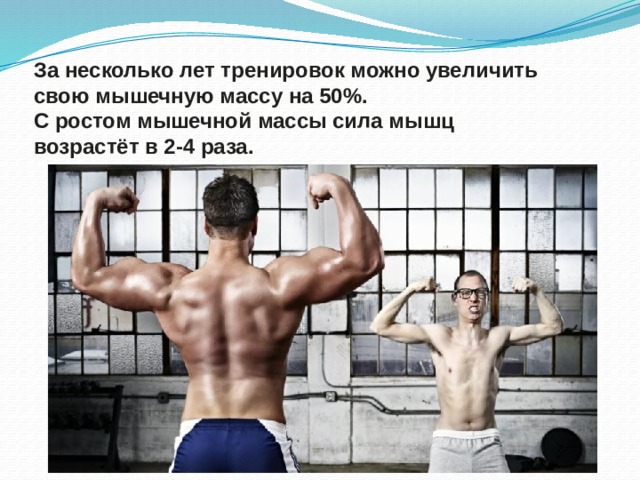 За несколько лет тренировок можно увеличить свою мышечную массу на 50%. С ростом мышечной массы сила мышц возрастёт в 2-4 раза.  