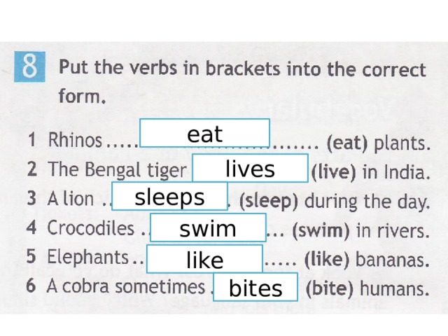 eat lives sleeps swim like bites 