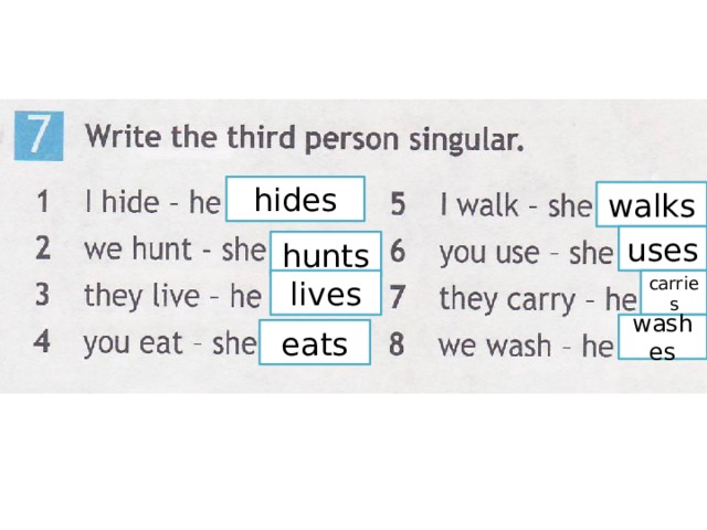 hides walks uses hunts lives carries washes eats 