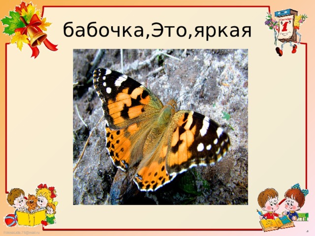 бабочка,Это,яркая 