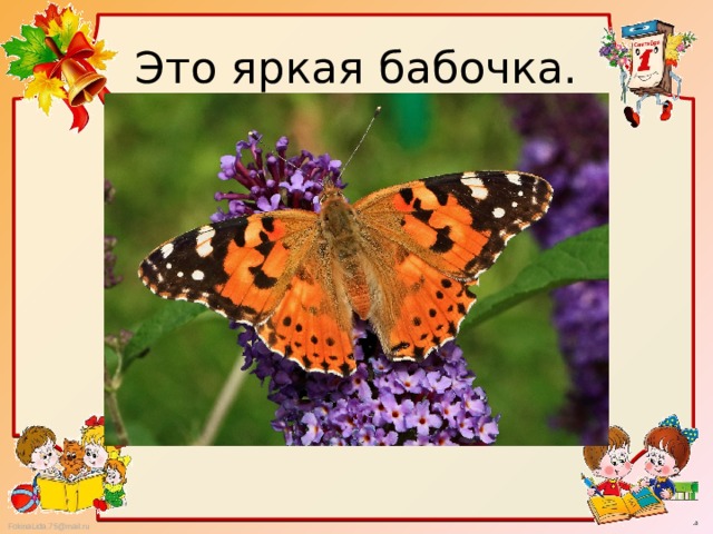 Это яркая бабочка. 