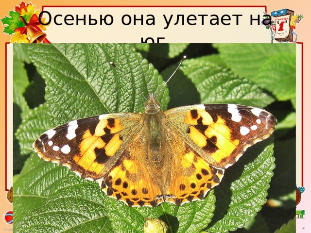 Осенью она улетает на юг. 