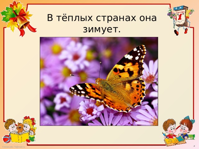 В тёплых странах она зимует. 