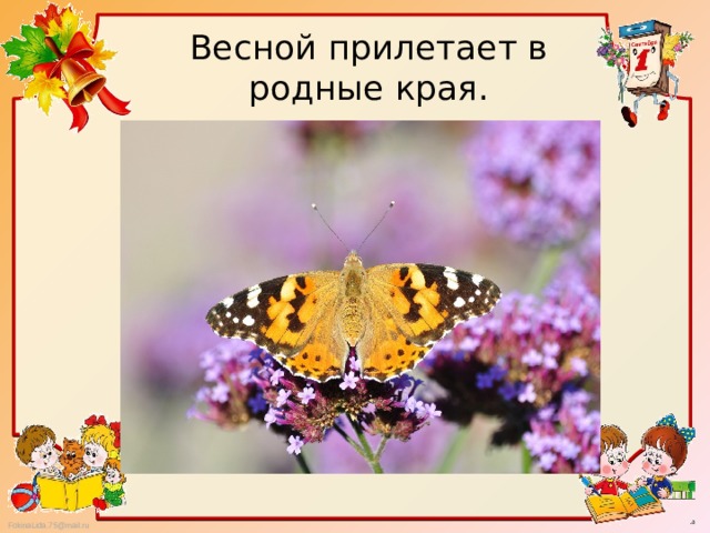 Весной прилетает в родные края. 