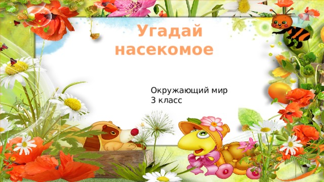 Угадай насекомое   Окружающий мир 3 класс 