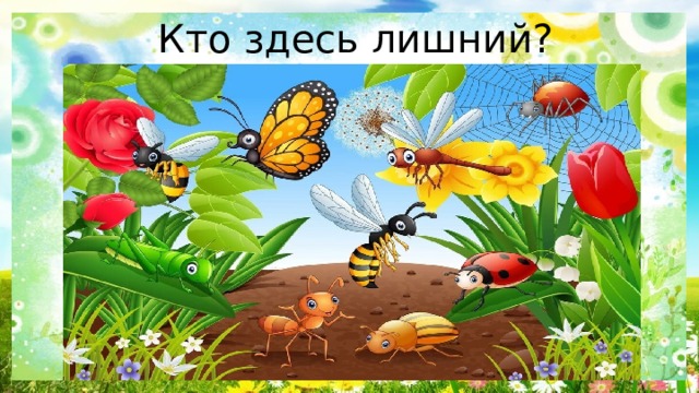 Кто здесь лишний? 