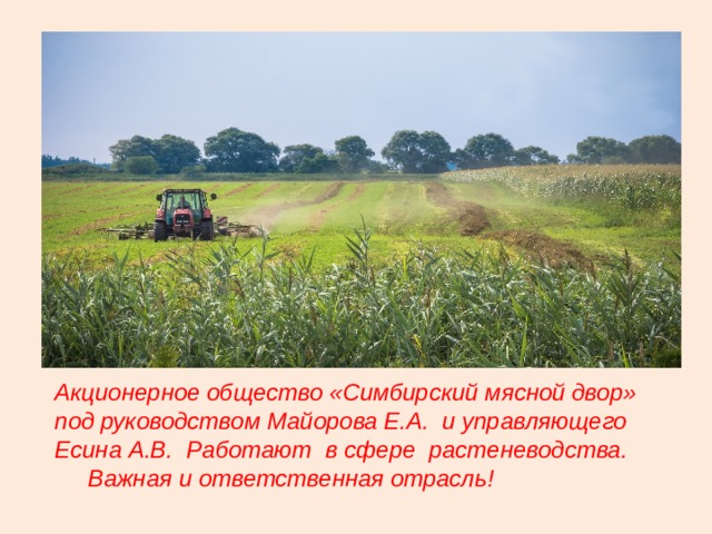 Акционерное общество «Симбирский мясной двор» под руководством Майорова Е.А. и управляющего Есина А.В. Работают в сфере растеневодства. Важная и ответственная отрасль! 