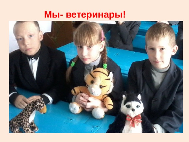 Мы- ветеринары! 