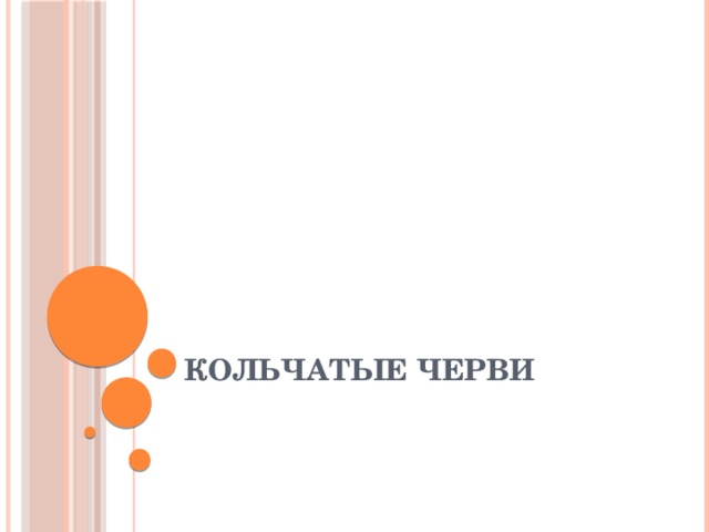Кольчатые черви 
