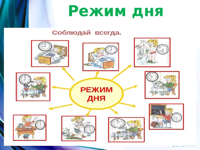 Режим дня 