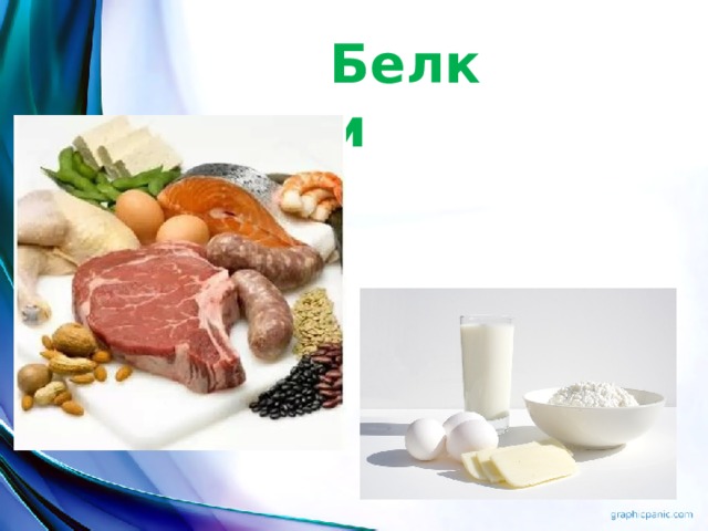 Белки 