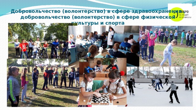 Добровольчество (волонтерство) в сфере здравоохранения , добровольчество (волонтерство) в сфере физической культуры и спорта 