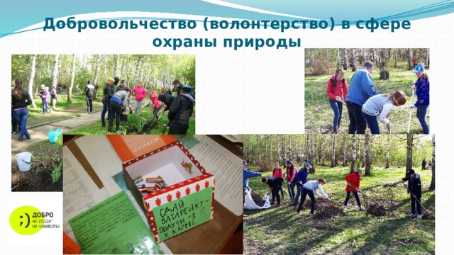 Добровольчество (волонтерство) в сфере охраны природы 